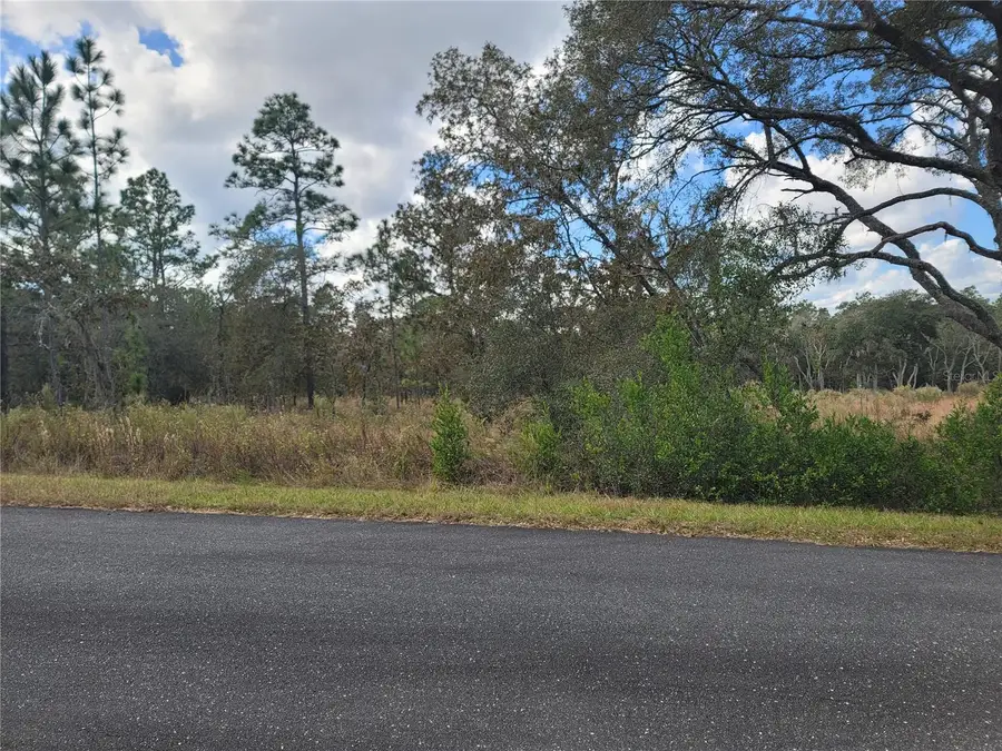 SW Persimmon Lane, Dunnellon, FL 34431 - Image #2