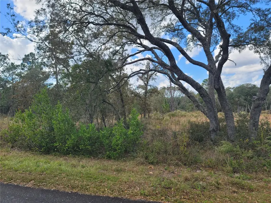 SW Persimmon Lane, Dunnellon, FL 34431 - Image #3