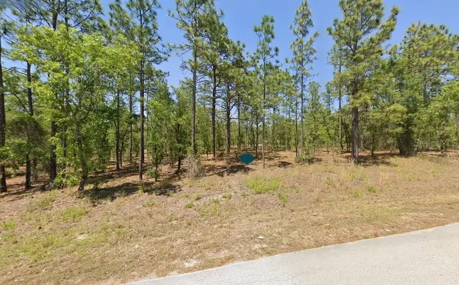 LOT 53 NW Amberjack Avenue, Dunnellon, FL 34431 - Image #3