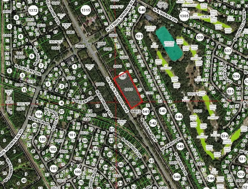 9991 N Florida Avenue, Citrus Springs, FL 34434 - Image #2