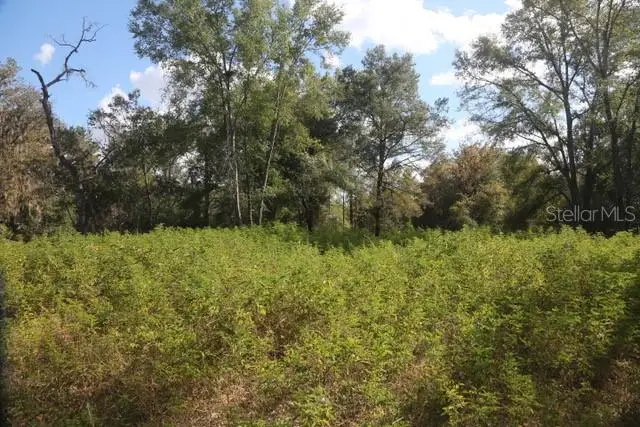 8776 SW 139th Place Road, Ocala, FL 34473 - Image #2