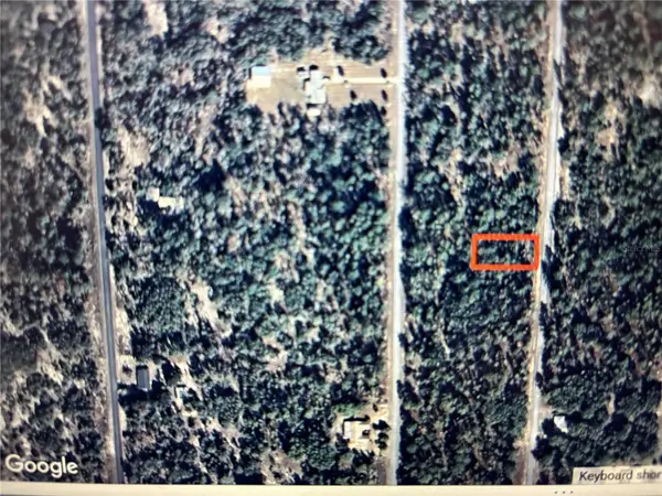 Sea Weed Ave, DUNNELLON, FL 34431