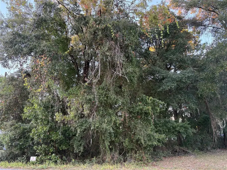 NW 60 Street, Ocala, FL 34482 - Image #2