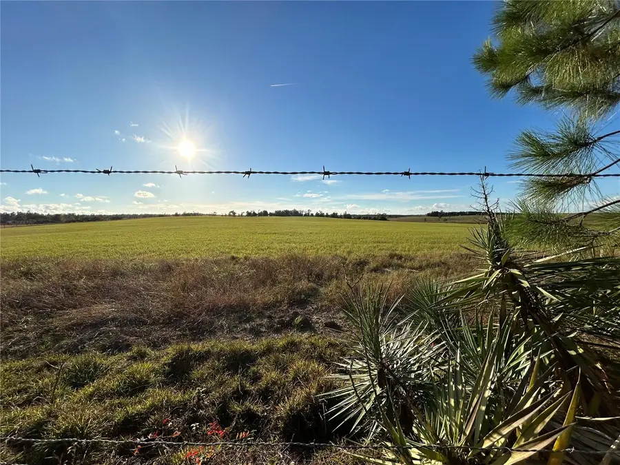 TBD SE 150th Avenue, Morriston, FL 32668 - Image #2