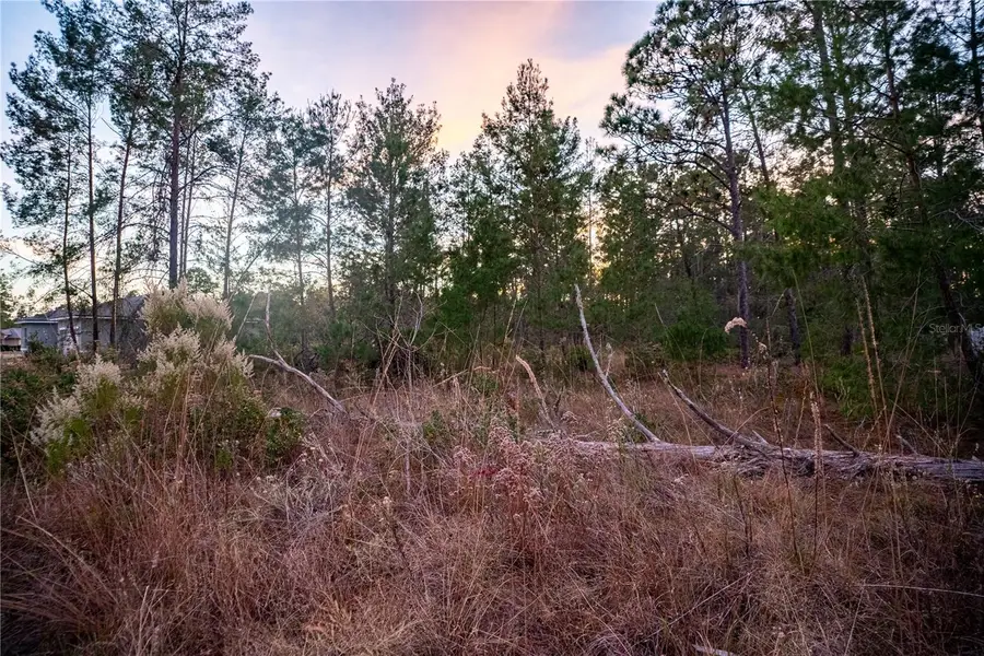 SW 39th Court, Ocala, FL 34473 - #2