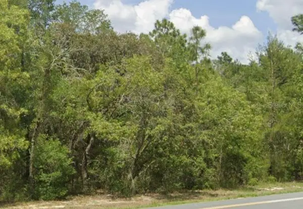 TBD SW 132nd Place, OCALA, FL 34473