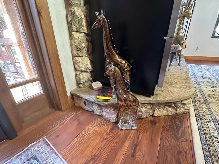 36203 Micro Racetrack Road, Fruitland Park, FL 34731 - Image #2