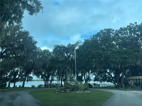 25225 NE 139th St, SALT SPRINGS, FL 32134