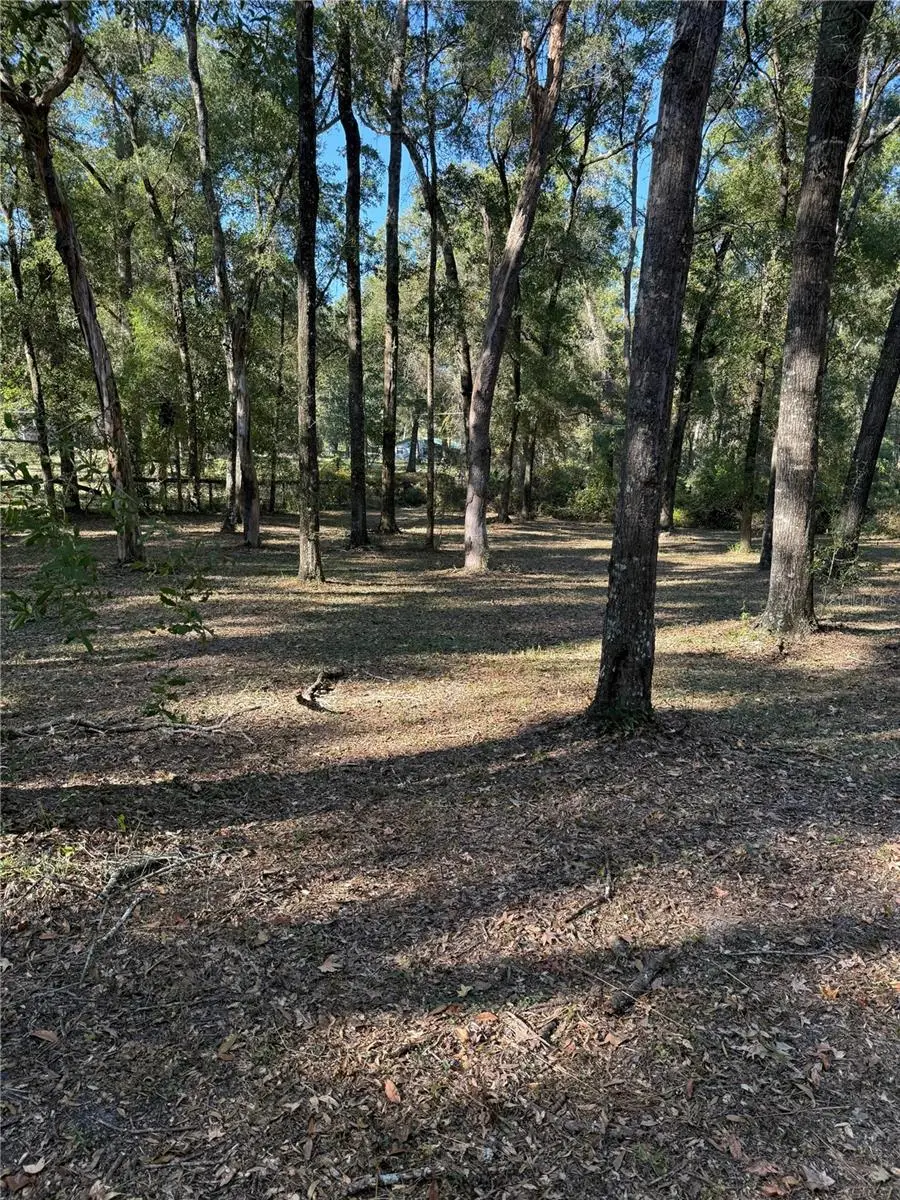 450 NW 117th Court, Ocala, FL 34482 - Image #3