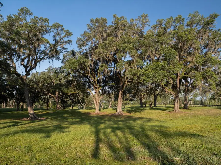 11771 NW 50th Lane Road, Ocala, FL 34482 - Image #3