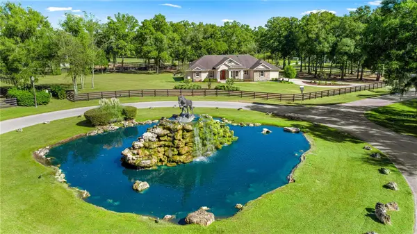 4681 NW 101st Street Road, OCALA, FL 34482