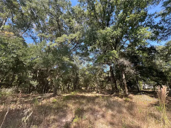 13465 SW 100th Street, DUNNELLON, FL 34432