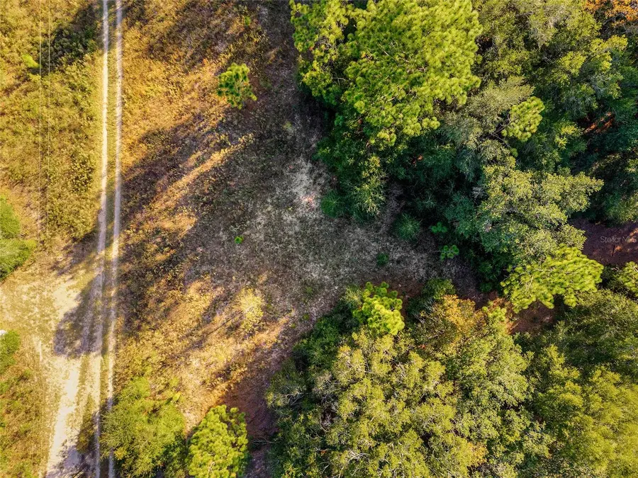 Sw 151st Avenue, Ocala, FL 34481 - Image #2