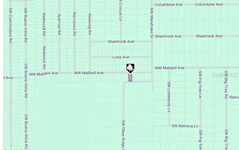 LOT 27 NW Mallard Avenue, Dunnellon, FL 34431 - Image #2