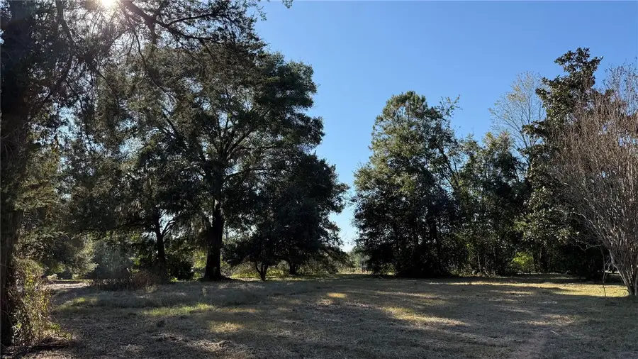 16508 NW 192nd Place, Williston, FL 32696 - Image #2