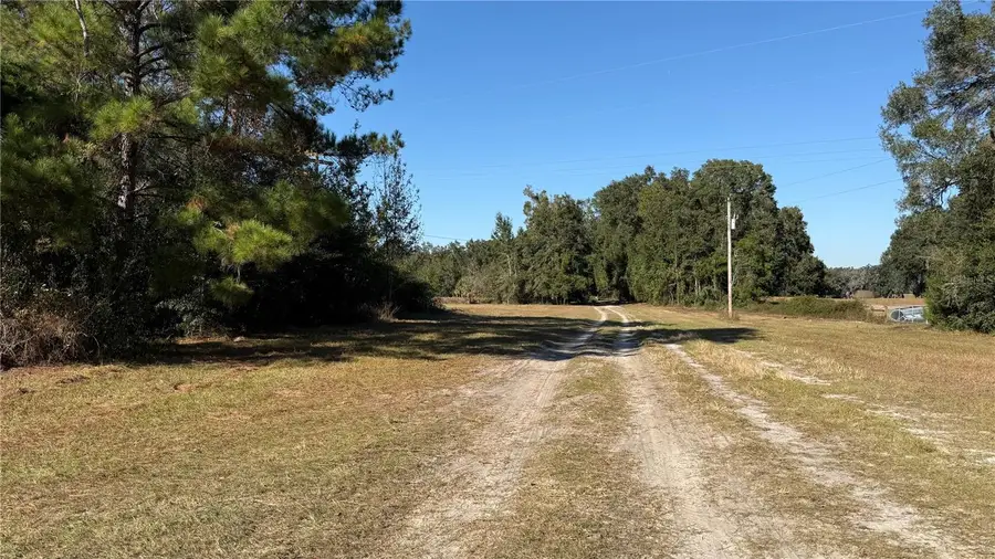 16508 NW 192nd Place, Williston, FL 32696 - Image #3