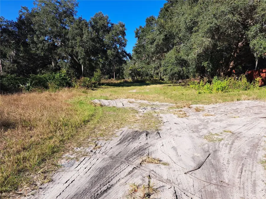 11309 SE Hwy 42, Summerfield, FL 34491 - Image #3