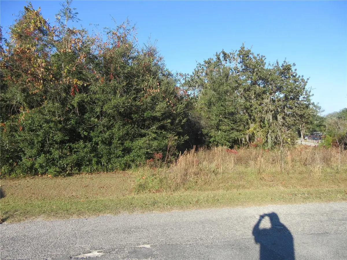 TBD SE 17th Street, Ocklawaha, FL 32179 - Image #1