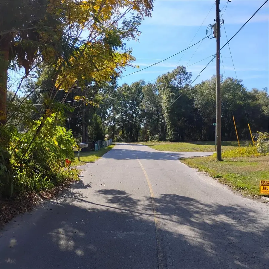 TBD SE 61st Place, Ocklawaha, FL 32179 - Image #2