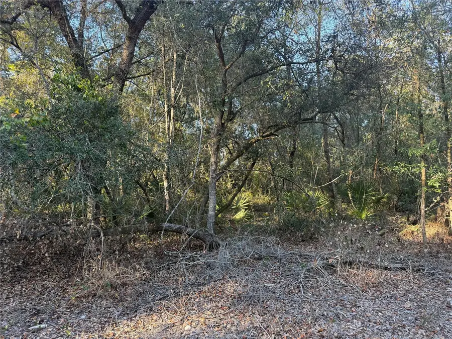 92nd Street, Ocklawaha, FL 32179 - Image #2