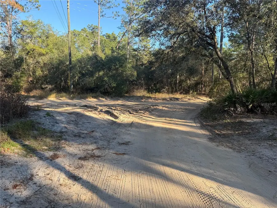92nd Street, Ocklawaha, FL 32179 - Image #3