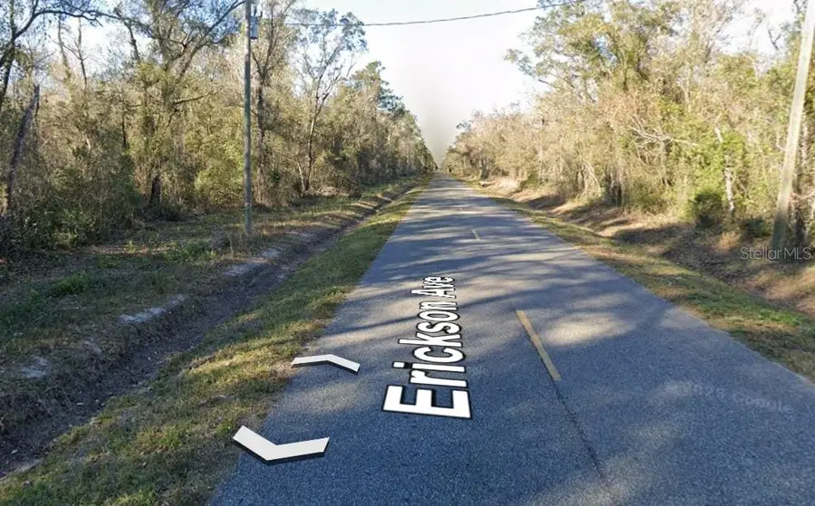 10535 Erickson Avenue, Hastings, FL 32145 - Image #2