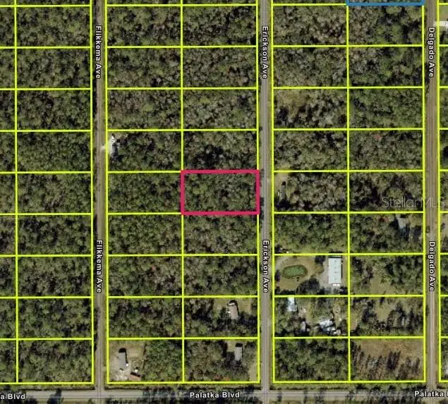10535 Erickson Avenue, Hastings, FL 32145 - Image #3