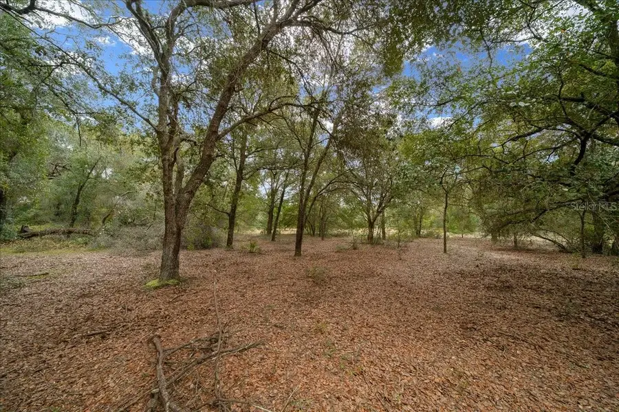 6100 County Road 214, Keystone Heights, FL 32656 - Image #3