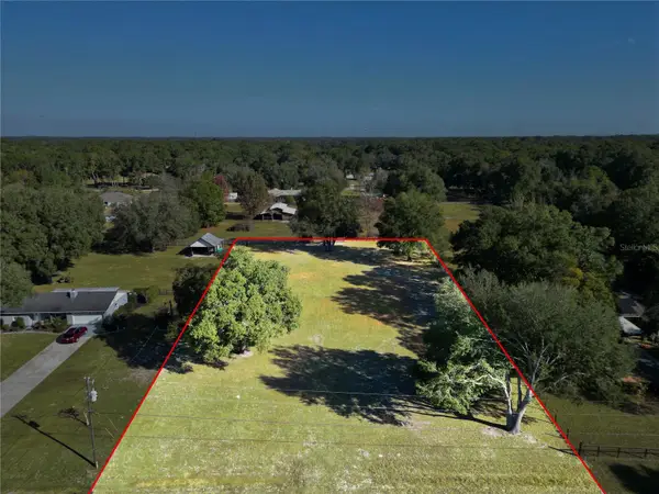 2975 SE 159th Lane Road, SUMMERFIELD, FL 34491