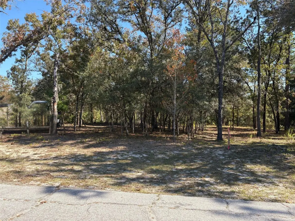 10079 N Ruth Terrace, Citrus Springs, FL 34434 - Image #1