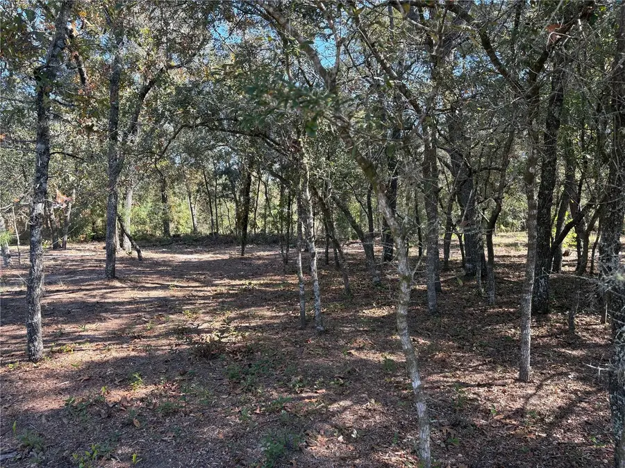 10079 N Ruth Terrace, Citrus Springs, FL 34434 - Image #2