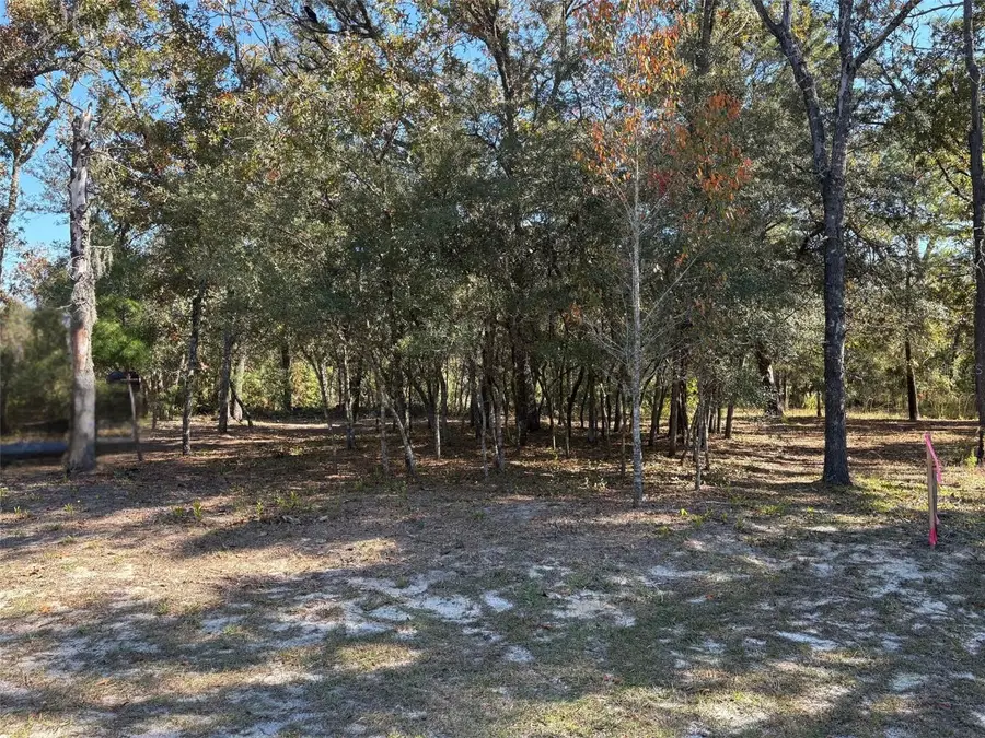 10079 N Ruth Terrace, Citrus Springs, FL 34434 - Image #3