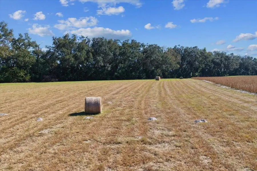 TBD NE 150 Street, Trenton, FL 32693 - Image #3