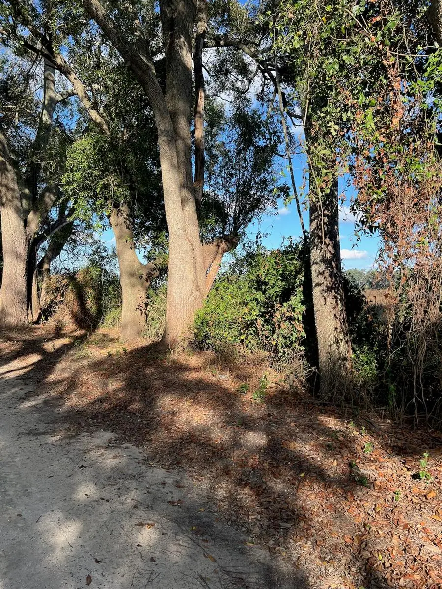 TBD N Bronson Avenue, Trenton, FL 32693 - Image #2