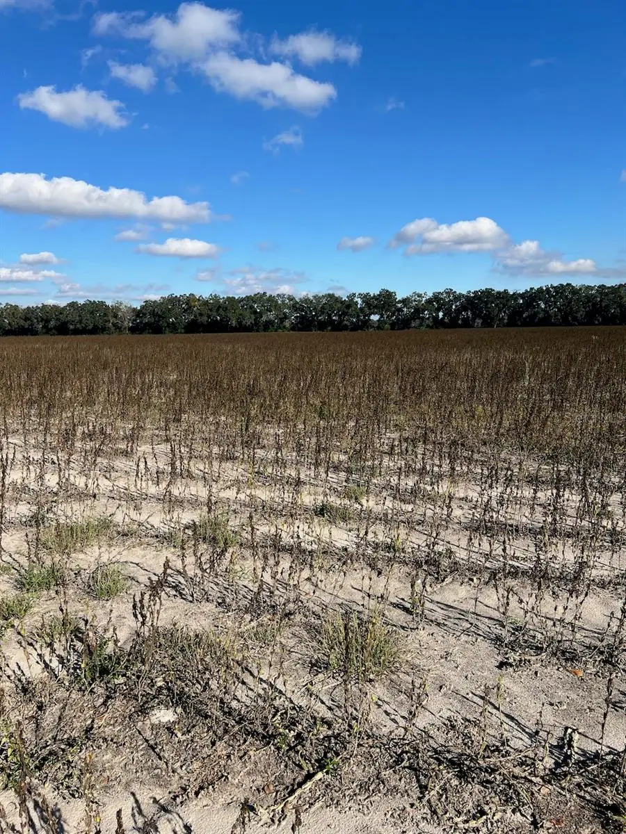 TBD N Bronson Avenue, Trenton, FL 32693 - Image #3