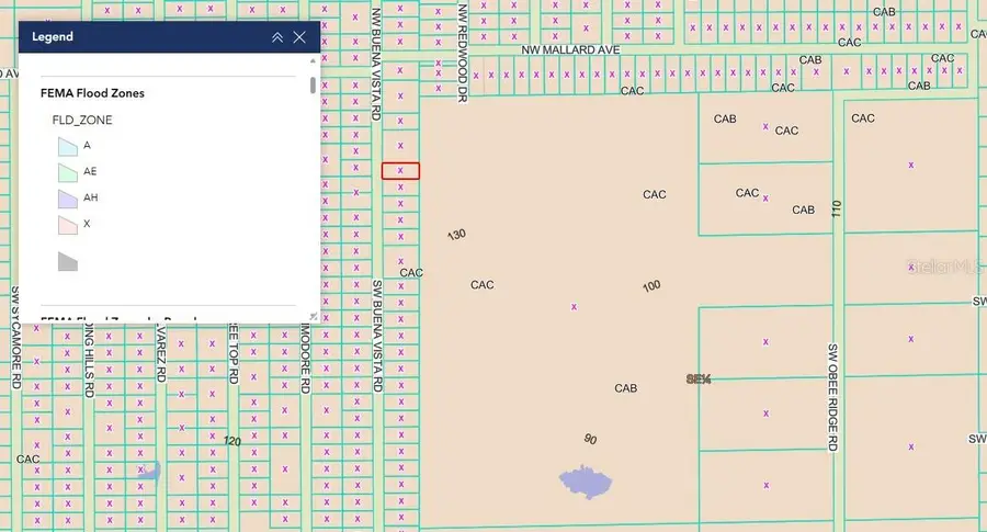 TBD SW Buena Vista Road, Rainbow Lakes Estates, FL 34431 - Image #2