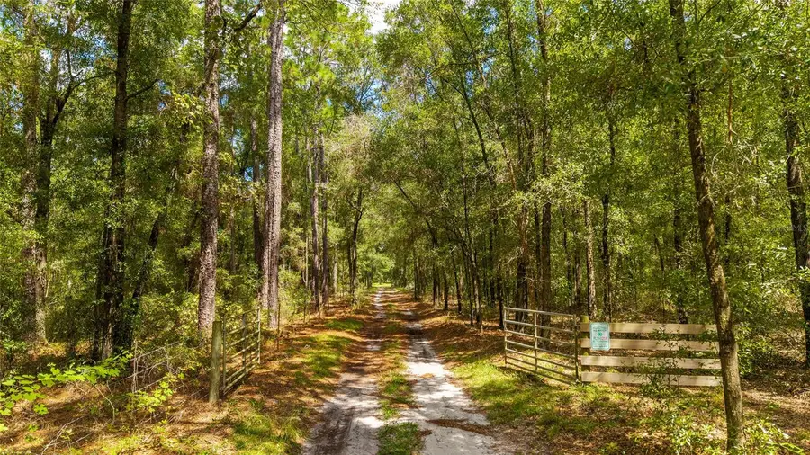 TBD SE 35th Street, Morriston, FL 32668 - #3