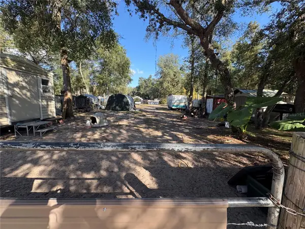 TBD NE 132nd St, SALT SPRINGS, FL 32134