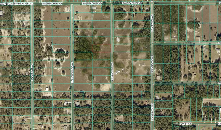 Begonia Court, Dunnellon, FL 34431 - Image #2