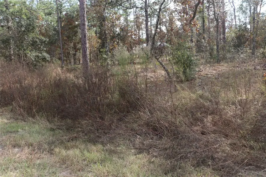 00 Geranium Avenue, Dunnellon, FL 34431 - Image #3