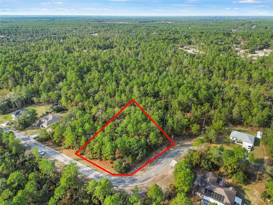 3873 W Findlay Street, Citrus Springs, FL 34433 - Image #2