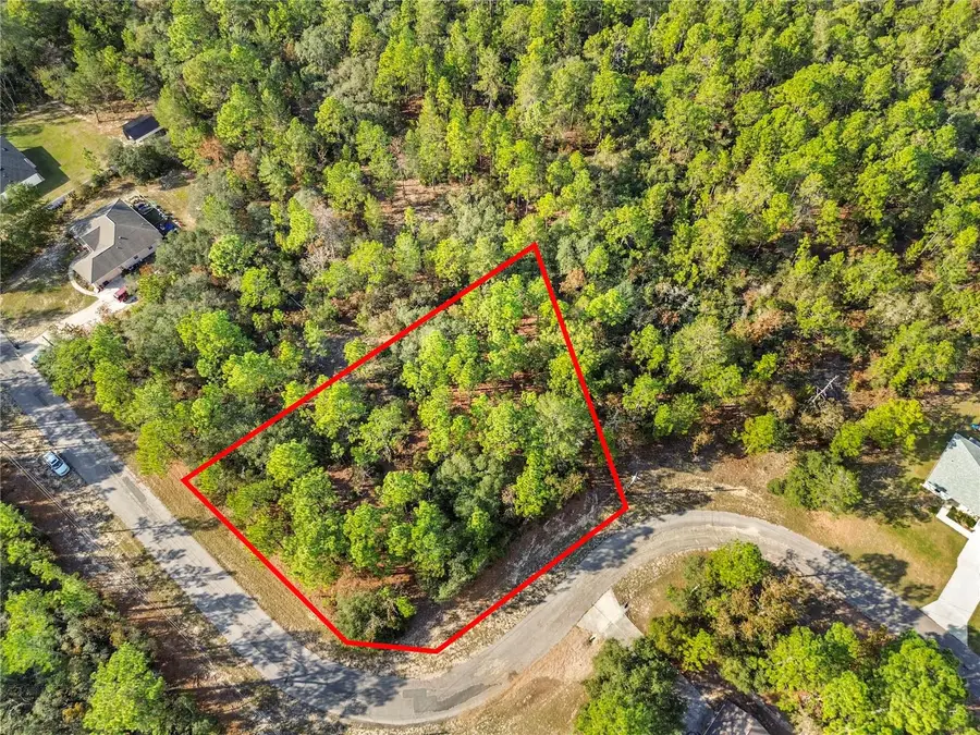 3873 W Findlay Street, Citrus Springs, FL 34433 - Image #3