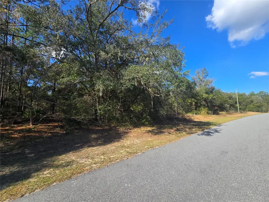 11370 N Ortega Point, Dunnellon, FL 34433 - Image #2