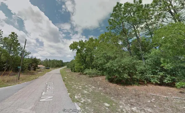 8100 N Triana Drive, CITRUS SPRINGS, FL 34434