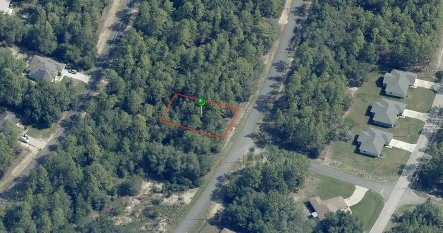 8100 N Triana Drive, Citrus Springs, FL 34434 - Image #2