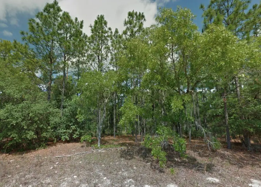 8100 N Triana Drive, Citrus Springs, FL 34434 - Image #3