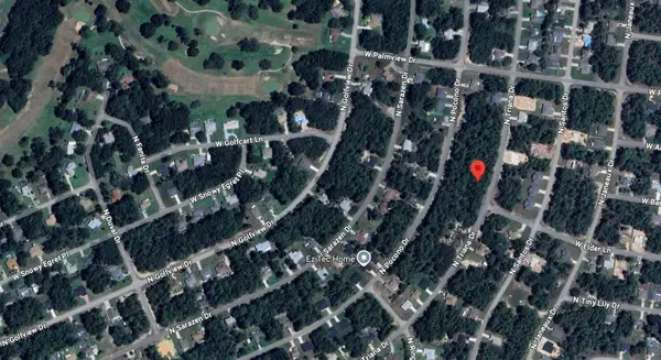 8116 N Triana Drive, CITRUS SPRINGS, FL 34434