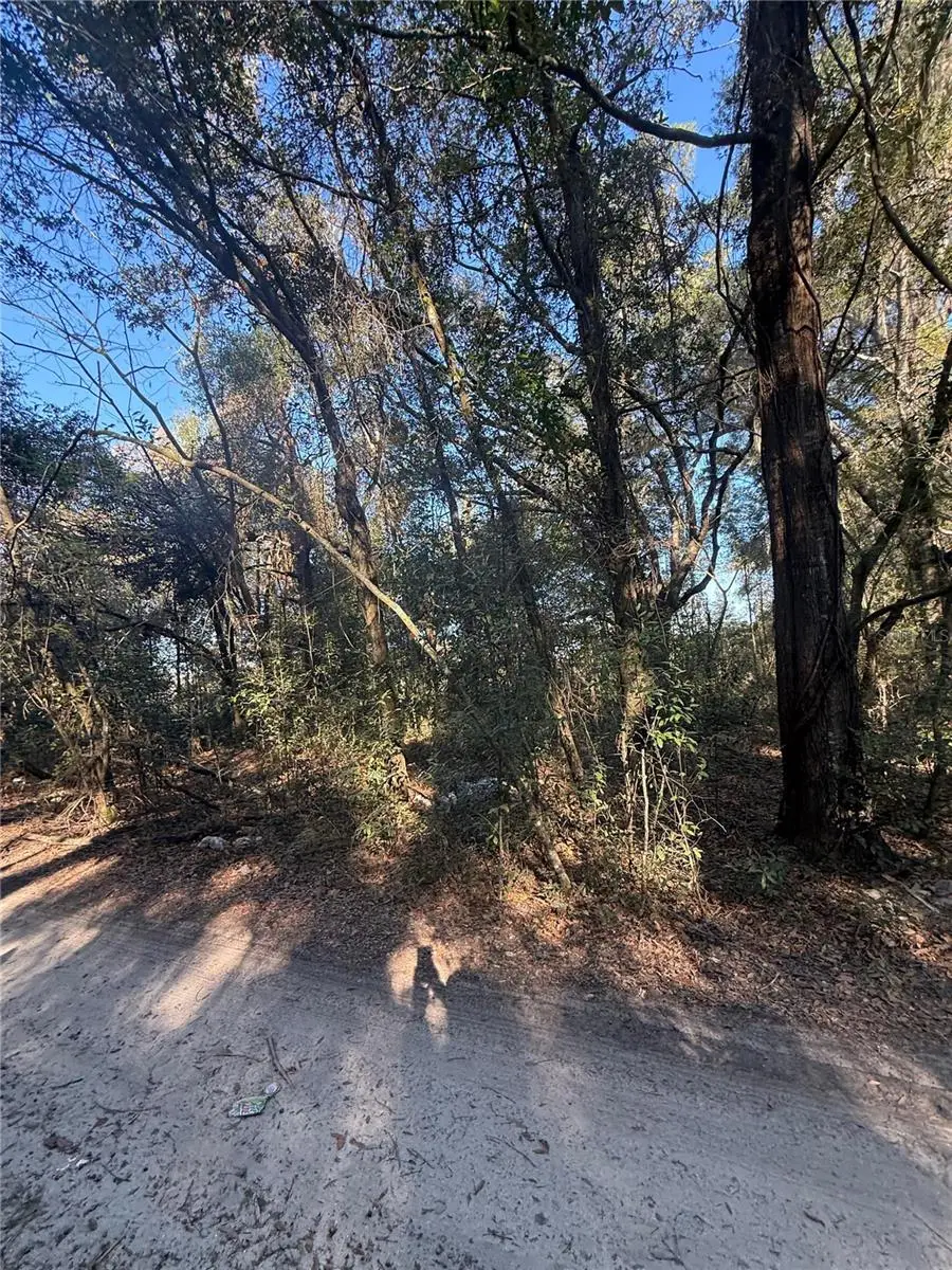 SW 148TH CT 32 Nd Place, Ocala, FL 34481 - Image #2