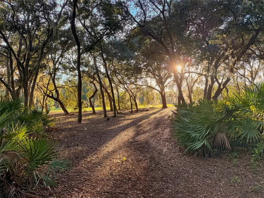 11064 NE 212th Lane, Fort McCoy Anthony, FL 32134 - Image #3