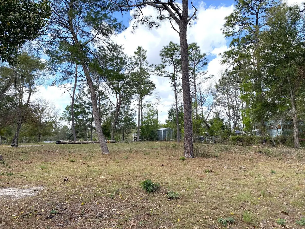 00 NE 142nd Court, Williston, FL 32696 - Image #1